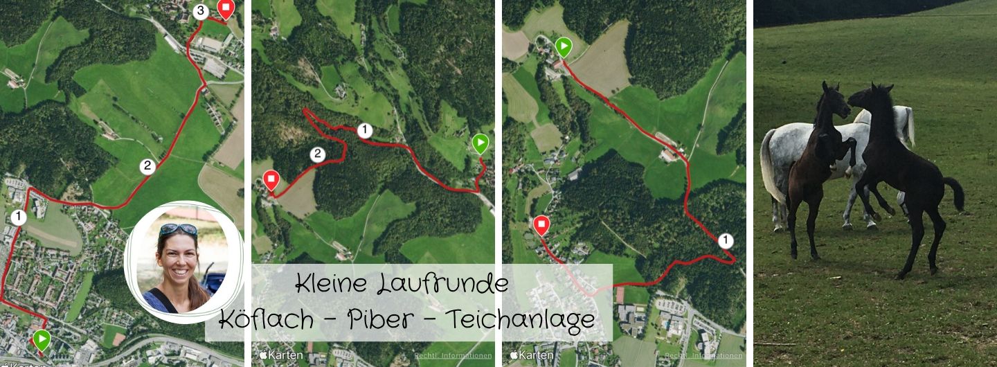 Kleine Laufstrecke-Laufrunde-Köflach-Piber-Teichanlage